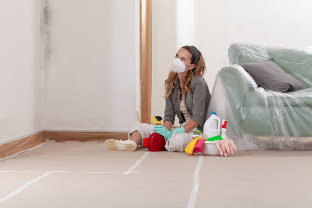 Reliable Mold Remediation contractor in Cottage Lake, WA by 24 Hour Mold Removal